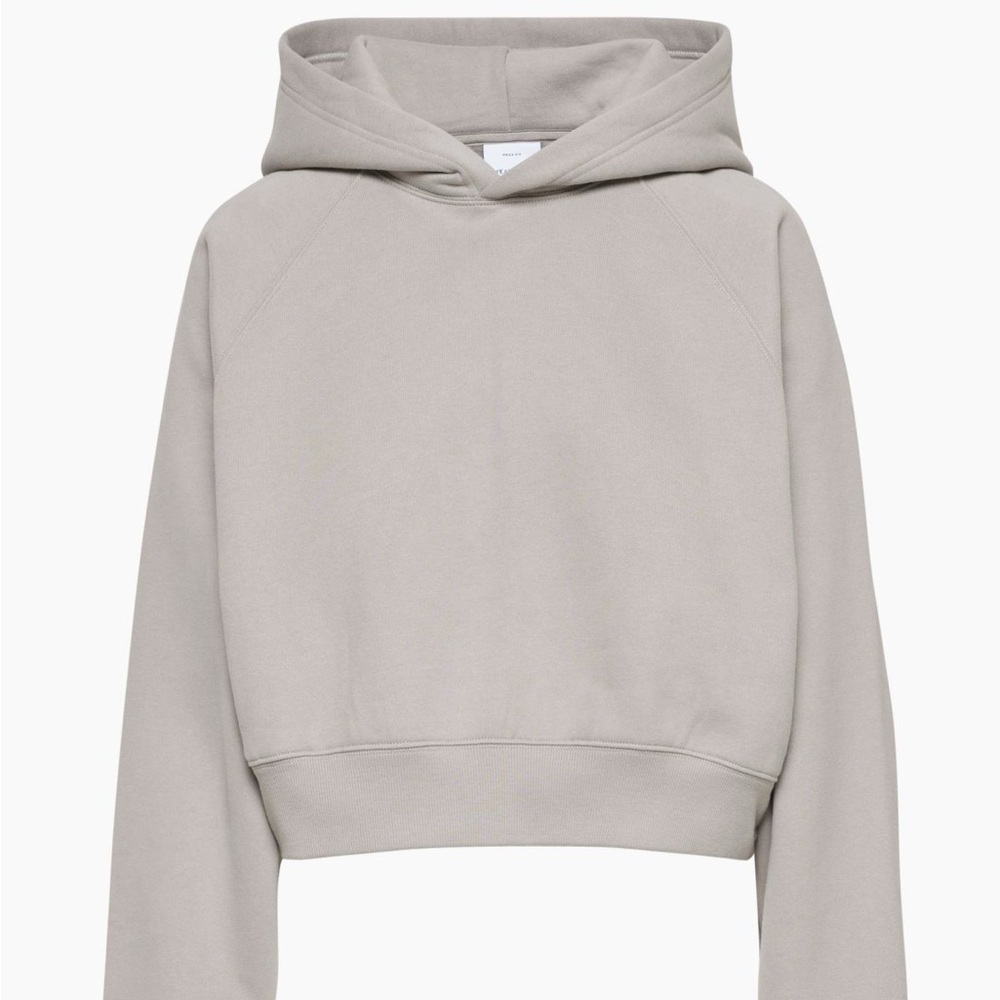 Aritzia TNA CozyAF shrunken boyfriend cropped hoodie
